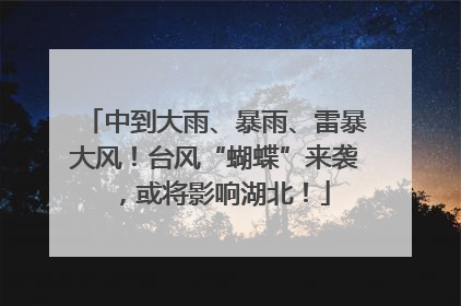 中到大雨、暴雨、雷暴大风！台风“蝴蝶”来袭，或将影响湖北！