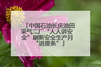 中国石油长庆油田采气二厂“人人讲安全”刷新安全生产月“进度条”
