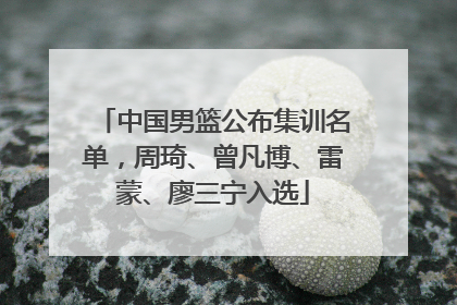 中国男篮公布集训名单，周琦、曾凡博、雷蒙、廖三宁入选