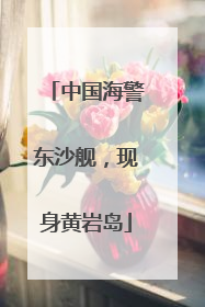 中国海警东沙舰，现身黄岩岛