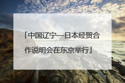 中国辽宁—日本经贸合作说明会在东京举行