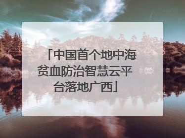 中国首个地中海贫血防治智慧云平台落地广西