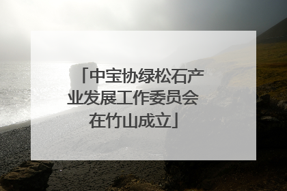 中宝协绿松石产业发展工作委员会在竹山成立