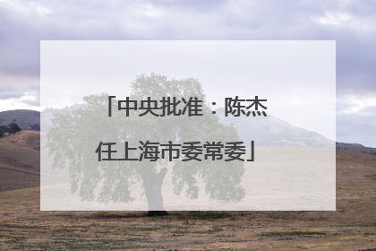 中央批准：陈杰任上海市委常委