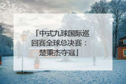 中式九球国际巡回赛全球总决赛：楚秉杰夺冠