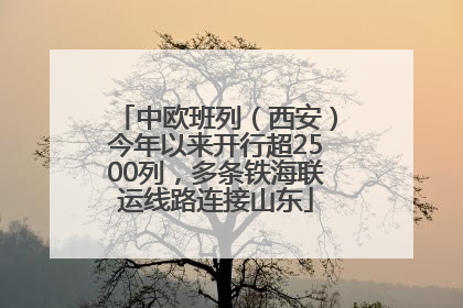 中欧班列（西安）今年以来开行超2500列，多条铁海联运线路连接山东
