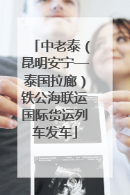 中老泰（昆明安宁—泰国拉廊）铁公海联运国际货运列车发车