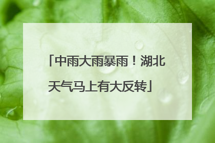 中雨大雨暴雨！湖北天气马上有大反转