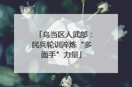 乌当区人武部：民兵轮训淬炼“多面手”力量