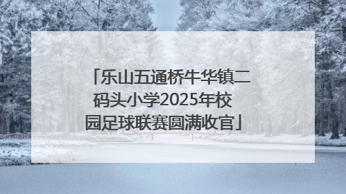 乐山五通桥牛华镇二码头小学2025年校园足球联赛圆满收官