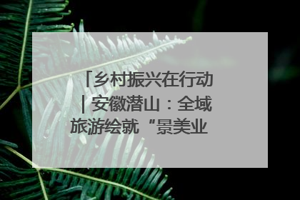 乡村振兴在行动｜安徽潜山：全域旅游绘就“景美业兴民富”新画卷