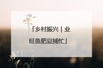 乡村振兴｜业旺鱼肥夏捕忙