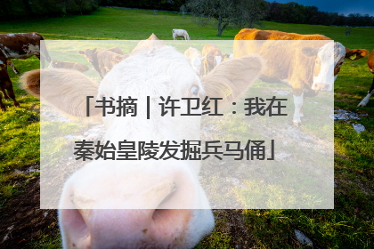 书摘｜许卫红：我在秦始皇陵发掘兵马俑