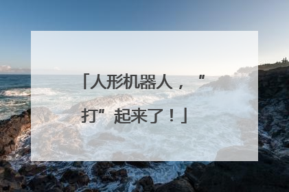 人形机器人，“打”起来了！