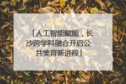 人工智能赋能，长沙跨学科融合开启公共美育新进程