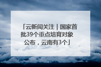 云新闻关注｜国家首批39个重点培育对象公布，云南有3个