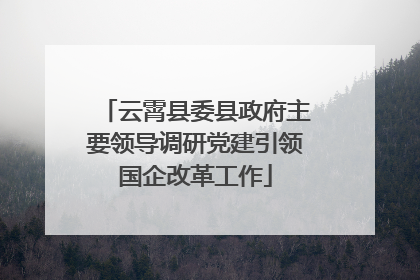 云霄县委县政府主要领导调研党建引领国企改革工作