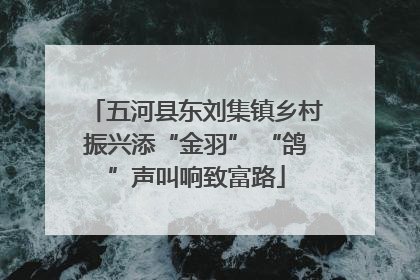 五河县东刘集镇乡村振兴添“金羽” “鸽”声叫响致富路