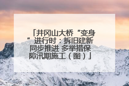 井冈山大桥“变身”进行时：拆旧建新同步推进 多举措保障汛期施工（图）