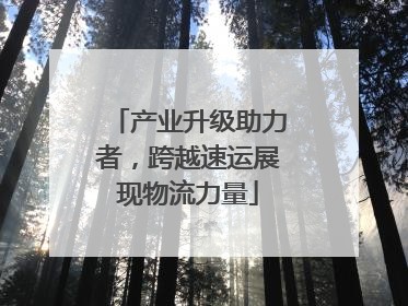 产业升级助力者，跨越速运展现物流力量
