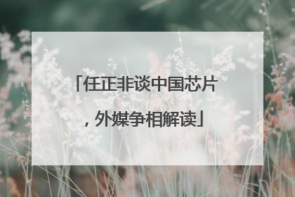 任正非谈中国芯片，外媒争相解读