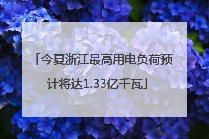 今夏浙江最高用电负荷预计将达1.33亿千瓦