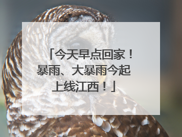 今天早点回家！暴雨、大暴雨今起上线江西！