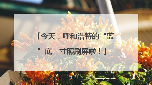 今天，呼和浩特的“蓝”底一寸照刷屏啦！