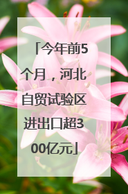 今年前5个月，河北自贸试验区进出口超300亿元