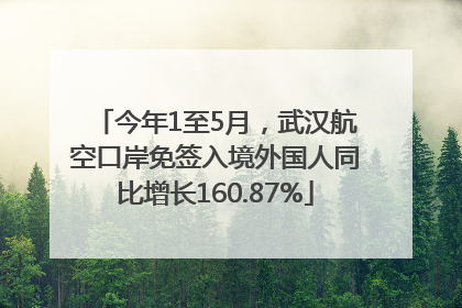 今年1至5月，武汉航空口岸免签入境外国人同比增长160.87%