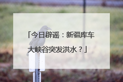 今日辟谣：新疆库车大峡谷突发洪水？
