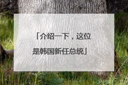 介绍一下，这位是韩国新任总统