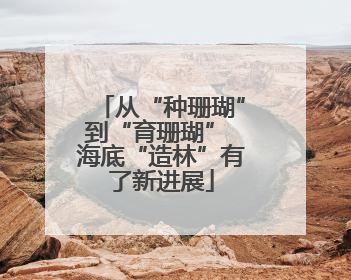 从“种珊瑚”到“育珊瑚” 海底“造林”有了新进展