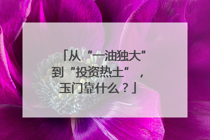 从“一油独大”到“投资热土”，玉门靠什么？