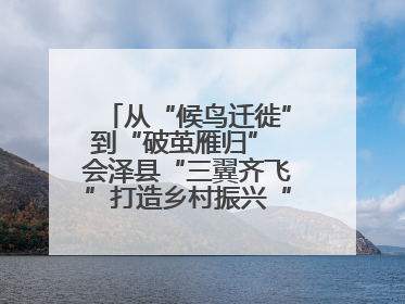 从“候鸟迁徙”到“破茧雁归” 会泽县“三翼齐飞”打造乡村振兴“创业雁阵”