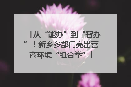 从“能办”到“智办”！新乡多部门亮出营商环境“组合拳”