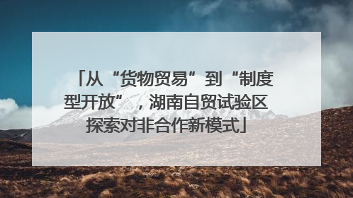 从“货物贸易”到“制度型开放”，湖南自贸试验区探索对非合作新模式