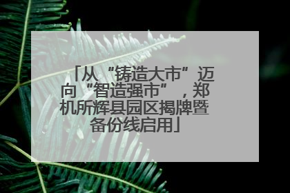 从“铸造大市”迈向“智造强市”，郑机所辉县园区揭牌暨备份线启用