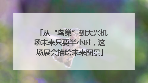 从“鸟巢”到大兴机场未来只要半小时，这场展会描绘未来图景