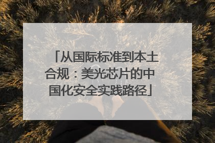 从国际标准到本土合规：美光芯片的中国化安全实践路径