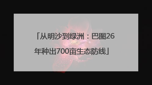 从明沙到绿洲：巴图26年种出700亩生态防线