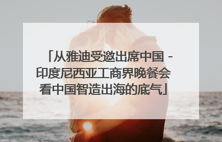 从雅迪受邀出席中国－印度尼西亚工商界晚餐会看中国智造出海的底气