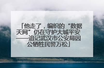 他走了，编织的“数据天网”仍在守护大城平安——追记武汉市公安局因公牺牲民警万松