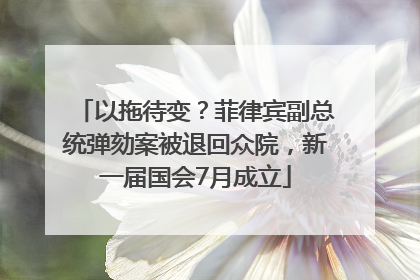 以拖待变？菲律宾副总统弹劾案被退回众院，新一届国会7月成立
