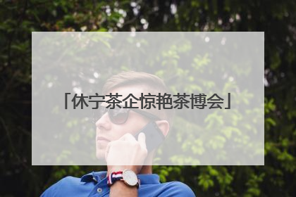 休宁茶企惊艳茶博会