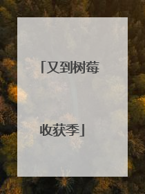 又到树莓收获季