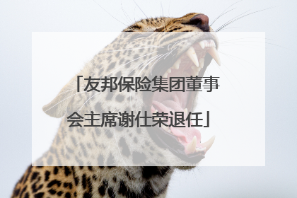 友邦保险集团董事会主席谢仕荣退任