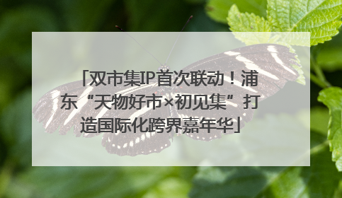 双市集IP首次联动！浦东“天物好市×初见集”打造国际化跨界嘉年华