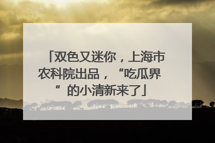 双色又迷你，上海市农科院出品，“吃瓜界”的小清新来了