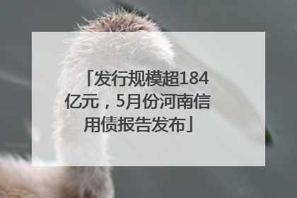 发行规模超184亿元，5月份河南信用债报告发布